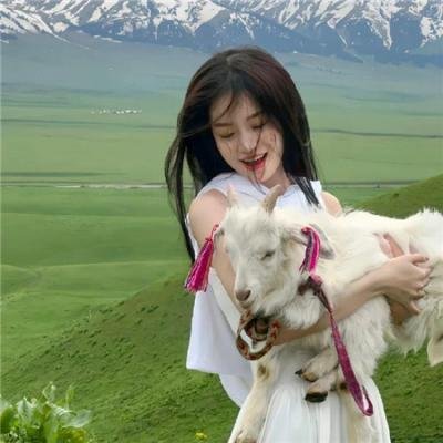 梅格雷的陷阱